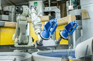 專訪法國賽峰公司高層 貴陽工廠硅鐵粒產(chǎn)品質(zhì)量卓越，引領(lǐng)行業(yè)標(biāo)準(zhǔn)